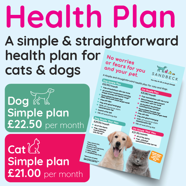 Our Simple Health Plan