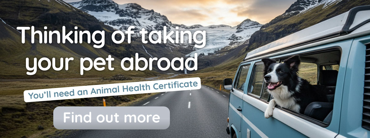 Animal Health Certificate